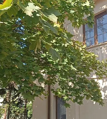 Villa Fonyod *