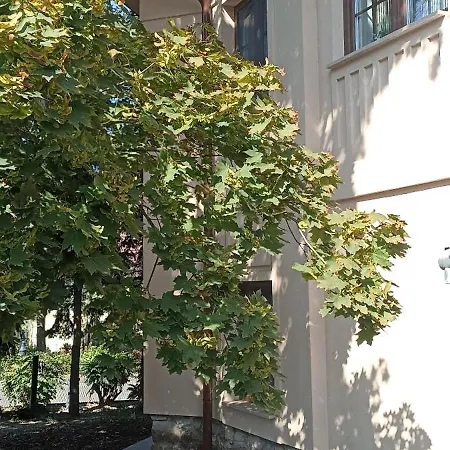 Villa Fonyod Apartamento *