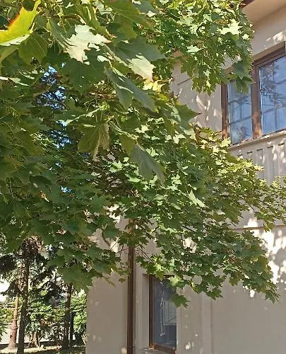 Villa Fonyod *
