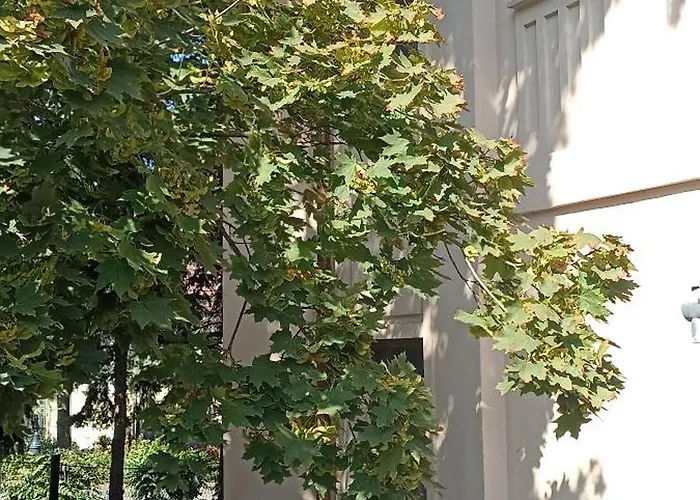 Villa Fonyod Apartmán *